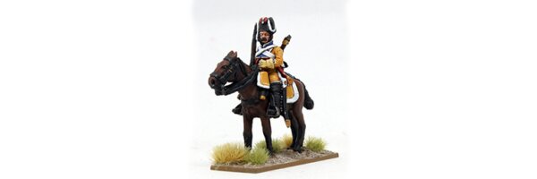 Napoleonic - Spanish