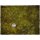 Game mat - Swamp 3 x 3 Mousepad - Malifaux