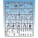 Frostgrave Female Warband (20)