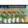 Napoleonic Wars: Pavlovsk Grenadier Regiment 1789-1815