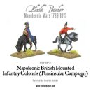 Mounted Napoleonic British Infantry Colonels (Peninsular...