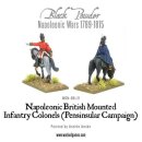 Mounted Napoleonic British Infantry Colonels (Peninsular...