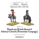 Mounted Napoleonic British Infantry Colonels (Peninsular War)