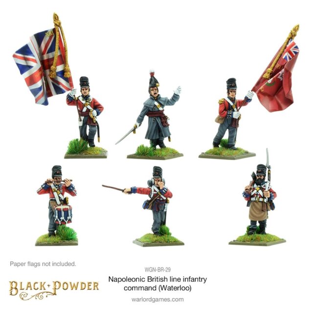 Napoleonic British Line Infantry command (Waterloo campaign)