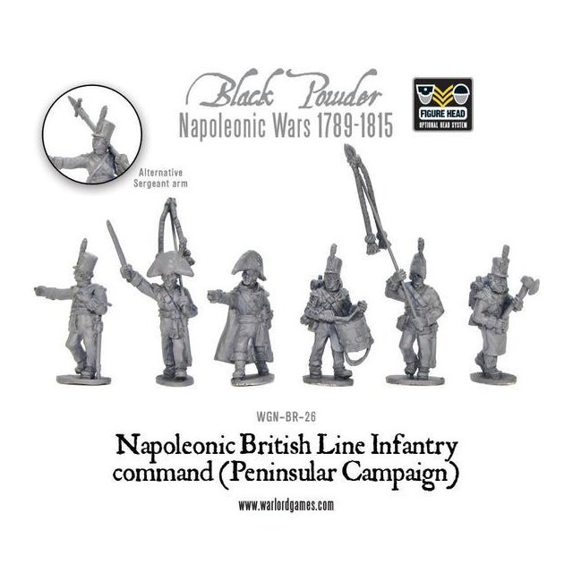 Napoleonic British Line Infantry command (Peninsular War)