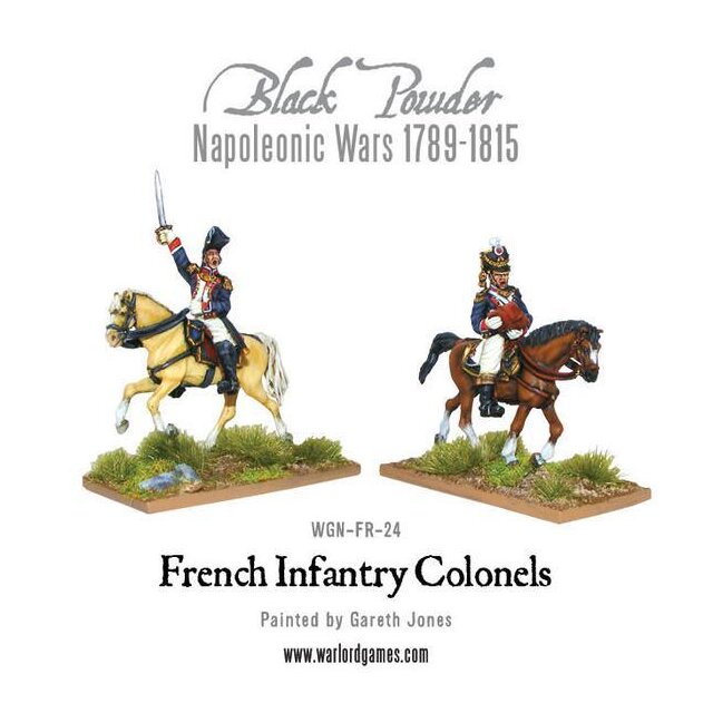 Mounted Napoleonic French Infantry Colonels