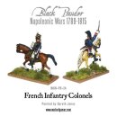 Mounted Napoleonic French Infantry Colonels