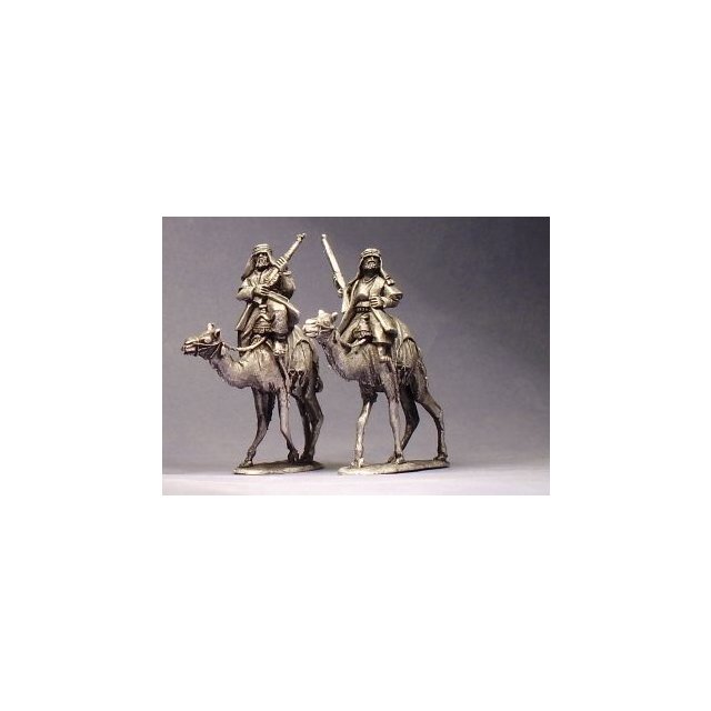 Camel Mounted Arab Irregulars