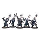 Legion Warspears Unit Box (5) (plastic)