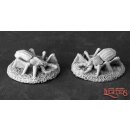 Fire Beetles (2)