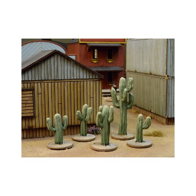 Dead Mans Hand Cacti (5)