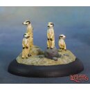 Meerkat Familiars