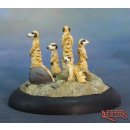 Meerkat Familiars