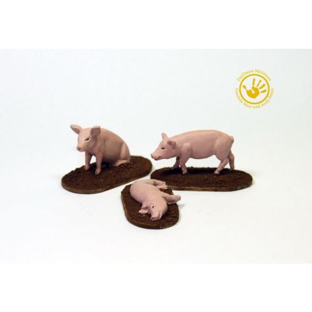 Schweine (3)