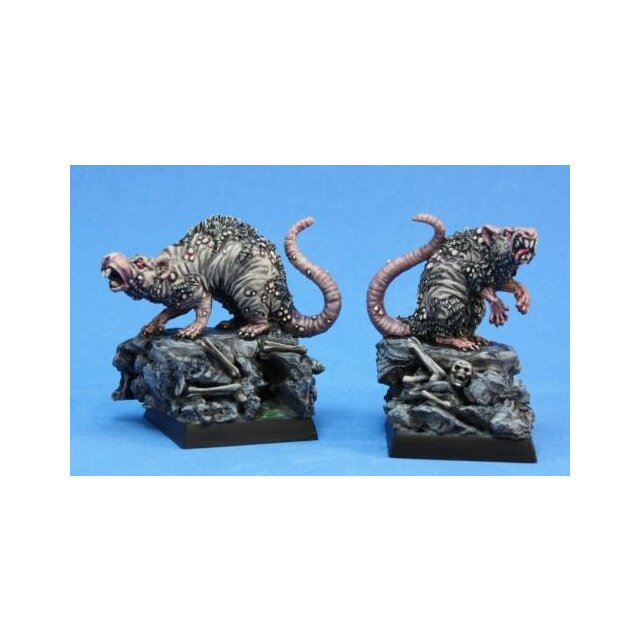 Barrow Rats (2)