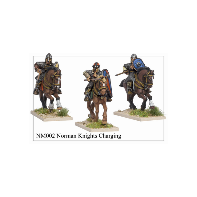 Norman Knights Charging (6)