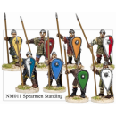 Norman Spearmen Standing (8)