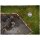 Walking Dead Town 4 x 6 Mousepad