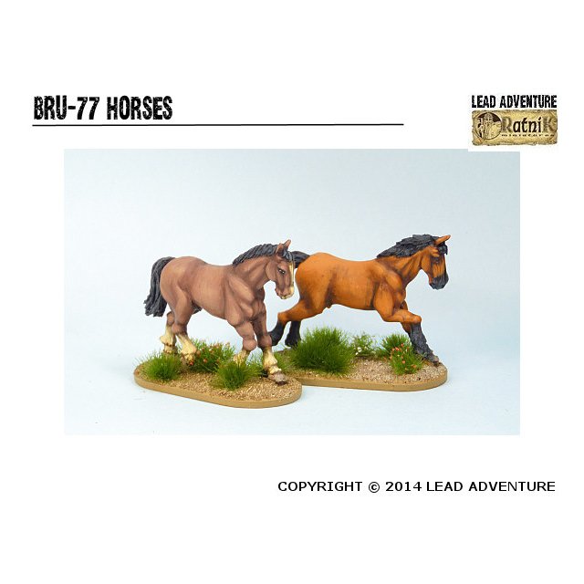 BRU-77 Horses (2)