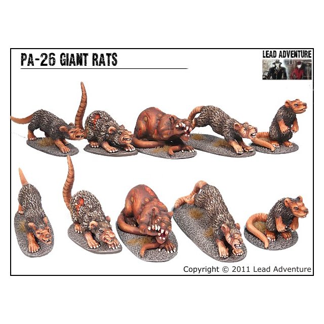 PA-26 Giant Rats (5)