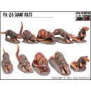 PA-26 Giant Rats (5)