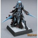 Dark Elf Warrior