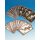 FF 025 Spielkarten #2 D/E