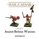 Ancient British Warriors