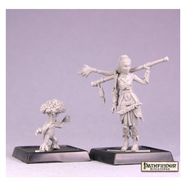 Druid and Familiar
