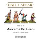 Ancient Celts: Druids