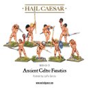 Ancient Celts: Fanatic pack