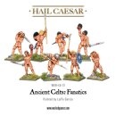 Ancient Celts: Fanatic pack