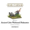 Ancient Celts: Warhound Packmaster