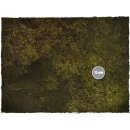 Game mat – Swamp 6 x 4 Mousepad