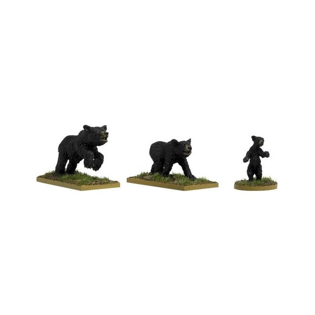 Black Bears (3)