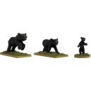 Black Bears (3)