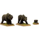 Kodiak Bears (3)