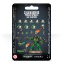 Upgrades und Abziehbilderbögen: Salamanders Primaris