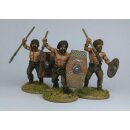 Germanic Warriors (60)