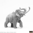 Pygmy Mammoth