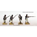 FN250 French Napoleonic Infantry Battalion 1807-14