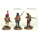 FN250 French Napoleonic Infantry Battalion 1807-14