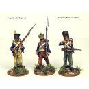 FN250 French Napoleonic Infantry Battalion 1807-14