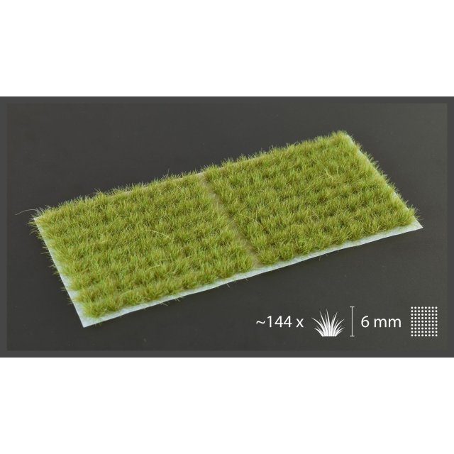 Dry Green (6mm) Small