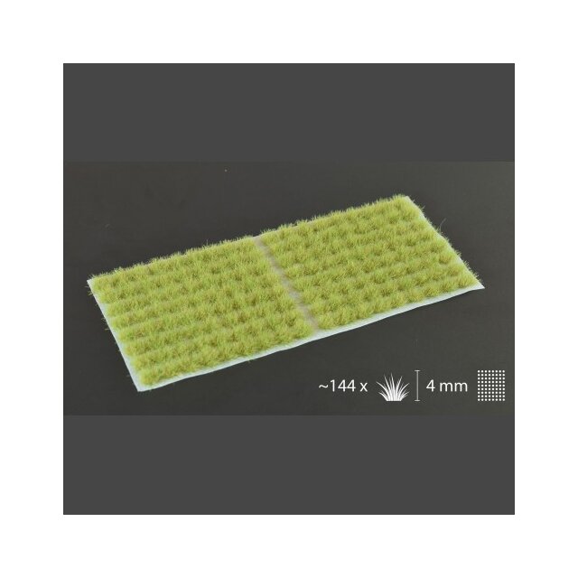 Light Green (4mm) Small