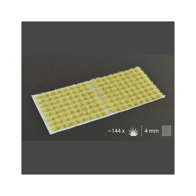 Beige (4mm) Small