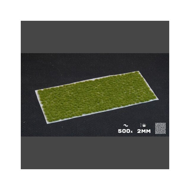 Tiny Dry Green (2mm)