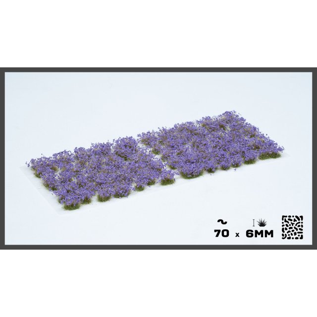 Violet Flowers