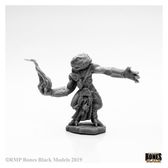 Chaos Toad Sorcerer