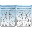 Frostgrave Zwei: 2-Spieler-Einsteiger-Set (Male) mit Modular Dungeon Accessories